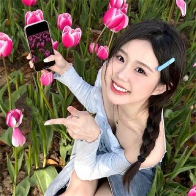 老虎与妙贼